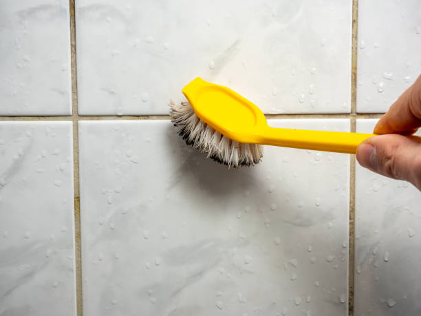 Best Localized Mold Remediation (e.g., coastal areas, humid climates) in Aurora, TX