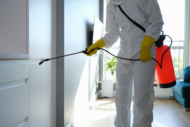 Best Industrial Mold Remediation in Aurora, TX