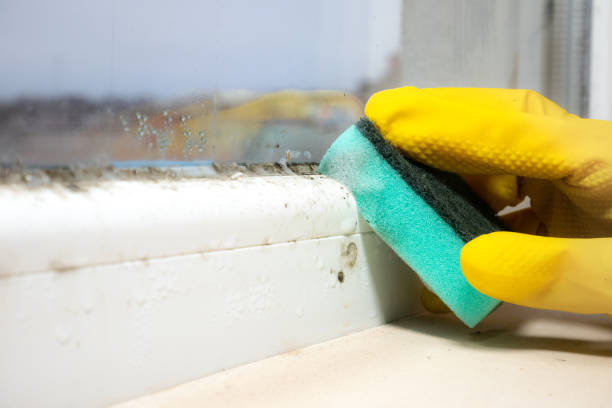Aurora, TX Mold Remediation Company